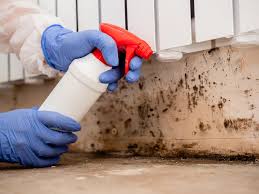 Best Environmental Consulting for Mold Prevention in Marienville, PA